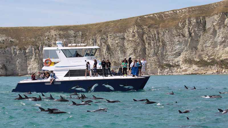 Come and say, 'Kia Ora!' and run away to Kaikoura for a 1 or 2 day scenic trip with complimentary Christchurch pick ups!
